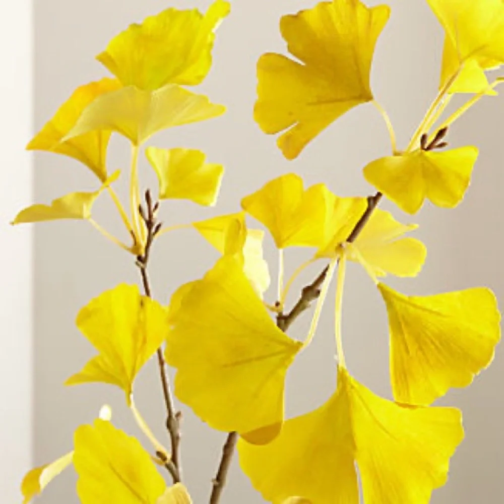 New Creat and Barrel Gold Leaf Branch Home Accent, 10 pieces